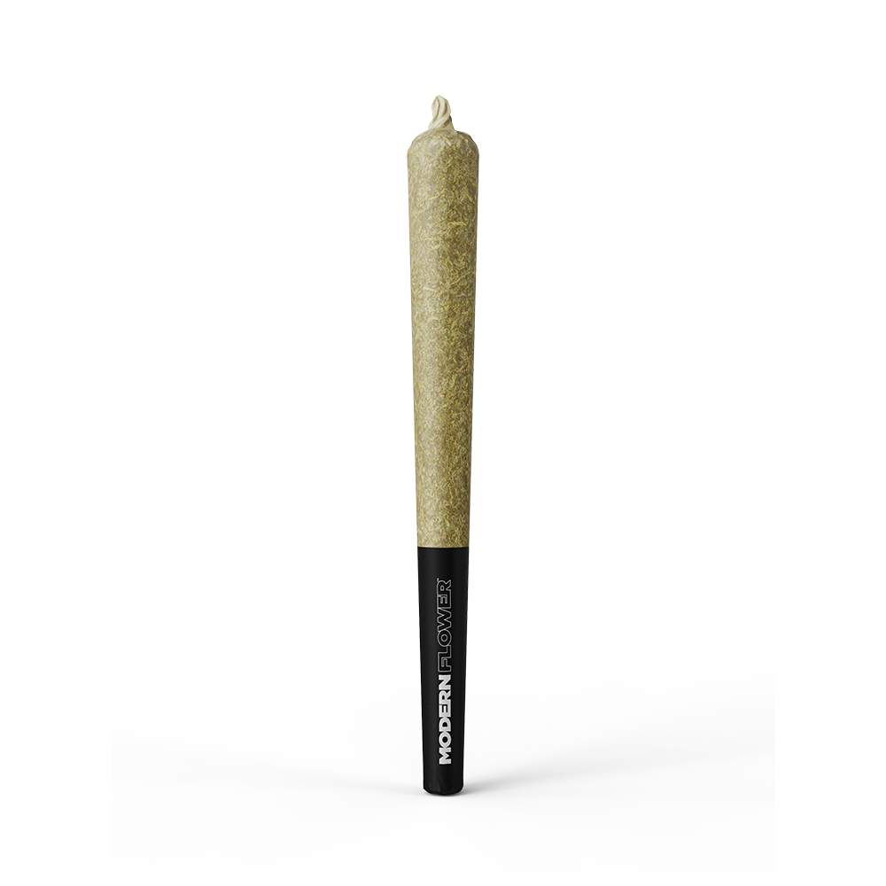 Pineapple Upside Down Cake [1g] by Modern Flower