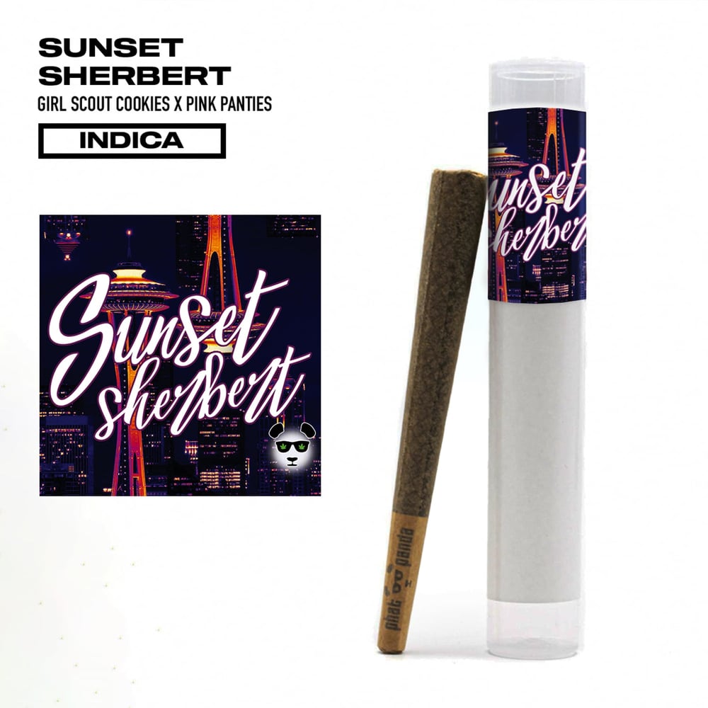 Sunset Sherbert [1g] by Phat Panda