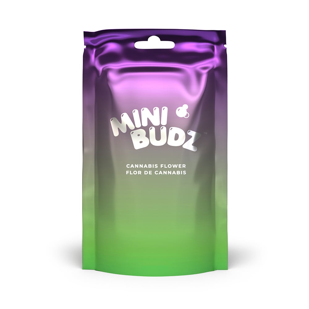 Gary Payton x Cream Cookies by Mini Budz