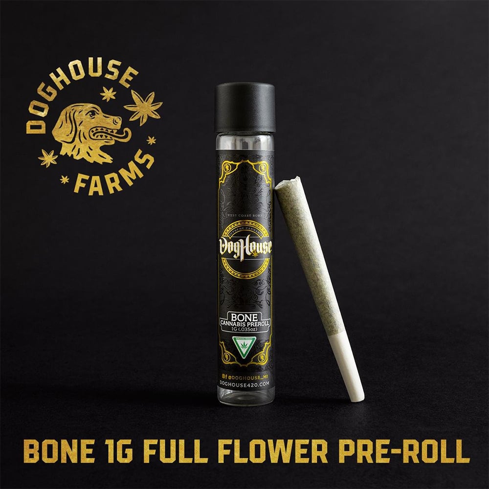 Apes In Space [1g] by DogHouse