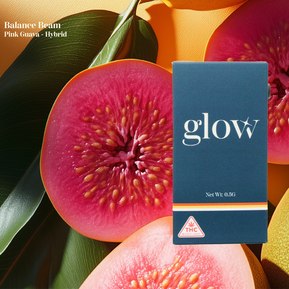 Balance Beam by Glow - MD