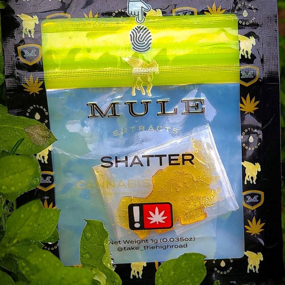 U Scream Cake by Mule Extracts