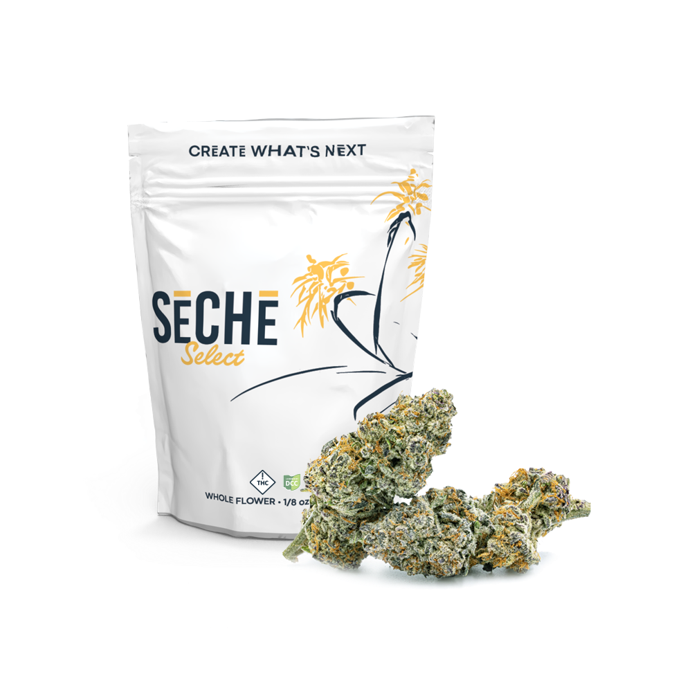 Beach Bath by SeCHe