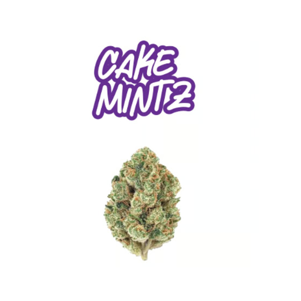 Cake Mintz by Fade Co.