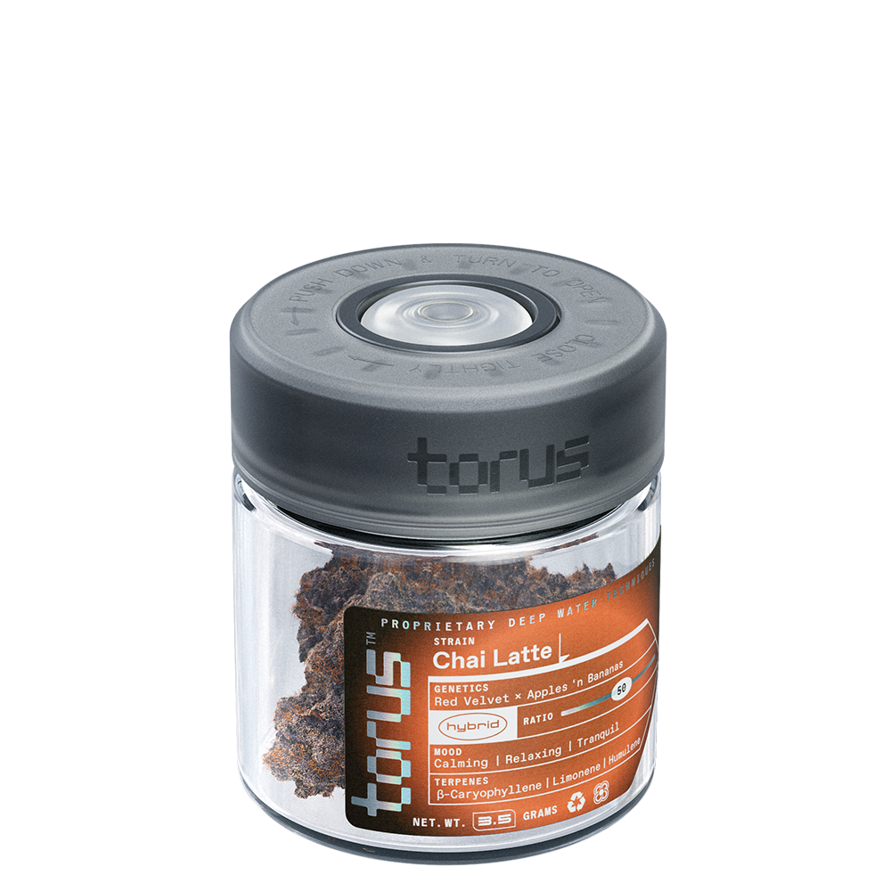 Chai Latte by Torus