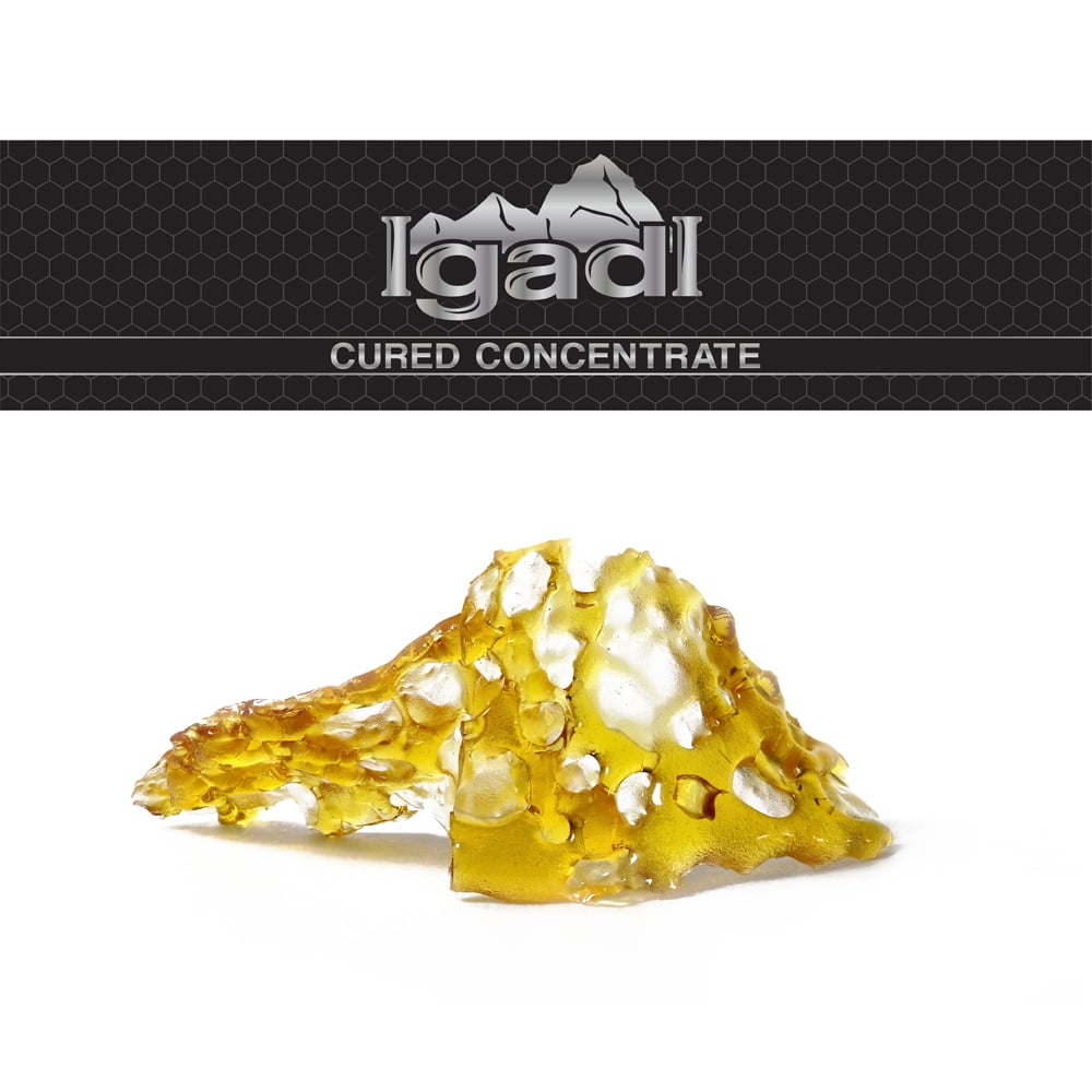 Discounted - Indica by IgadI