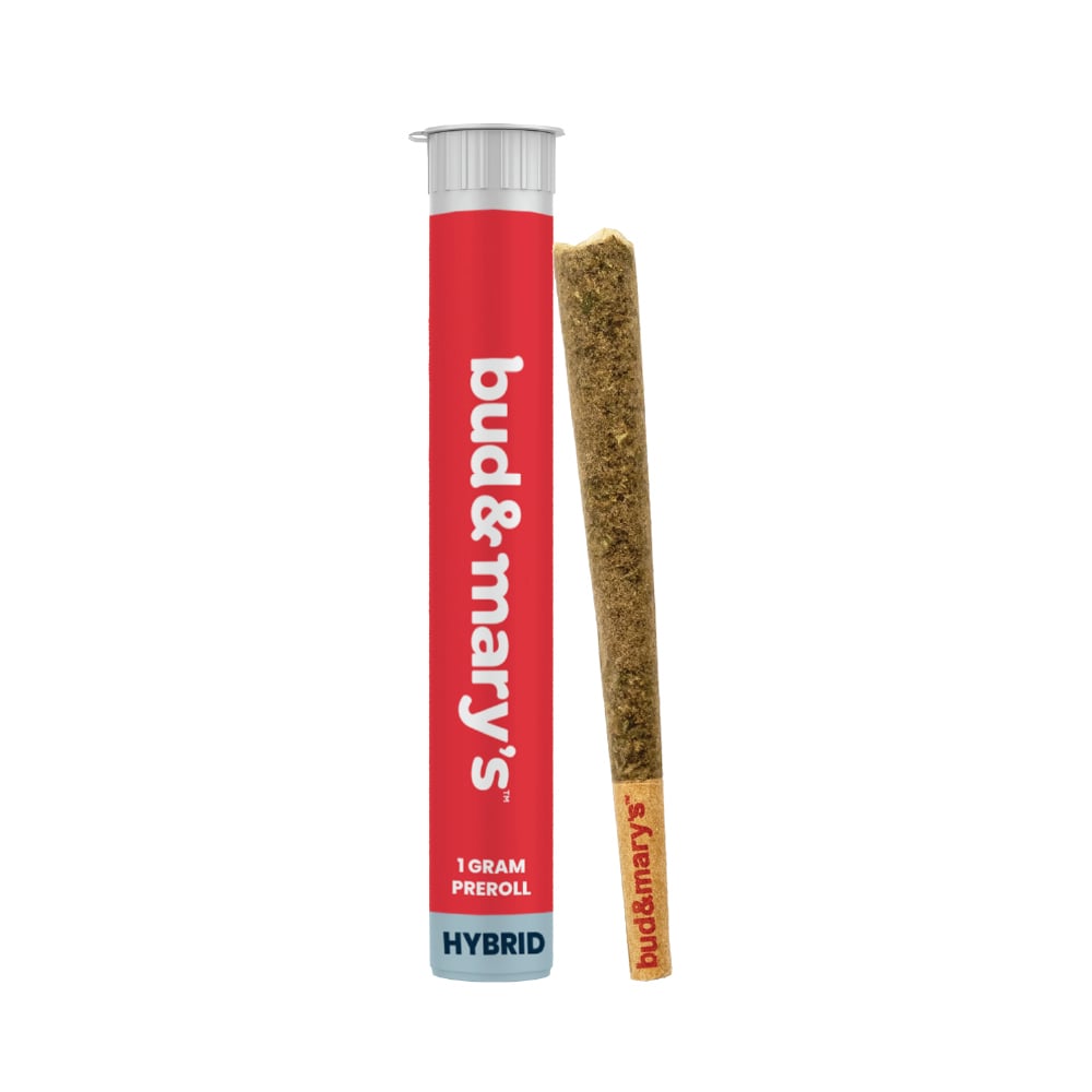Cream Cookie Cake x Mai Tai [1g] by Bud & Mary's