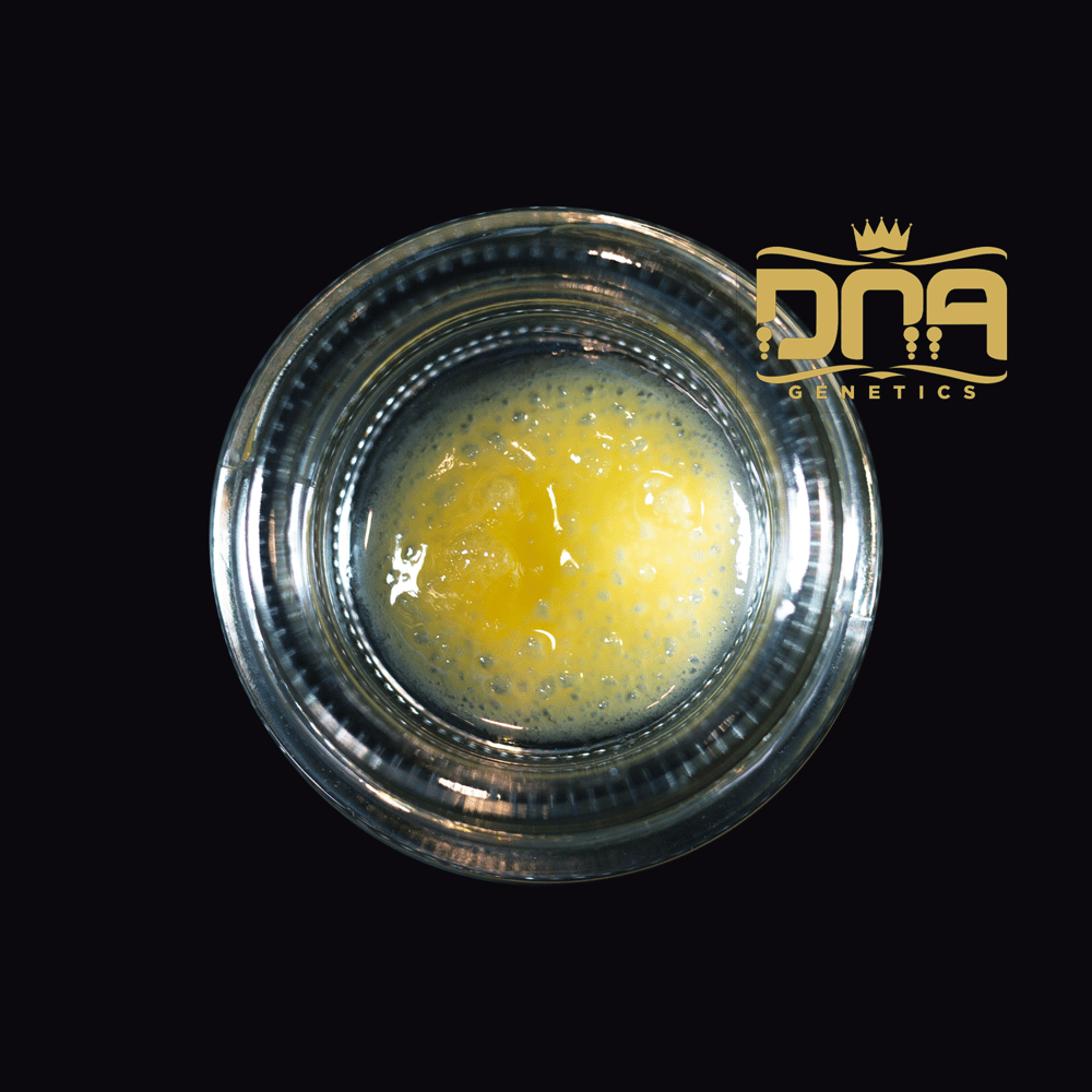 Baker's Delight by Skymint x DNA Genetics