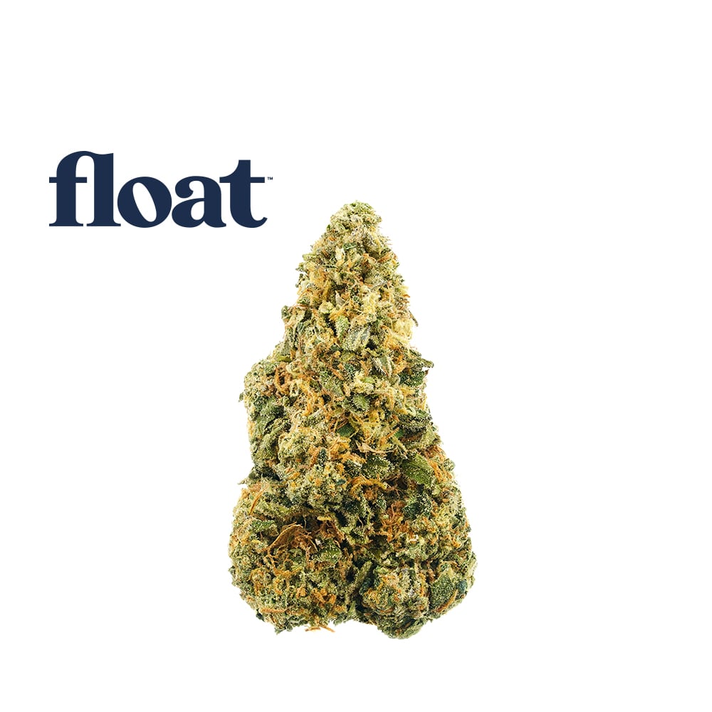 86 Moons by Float