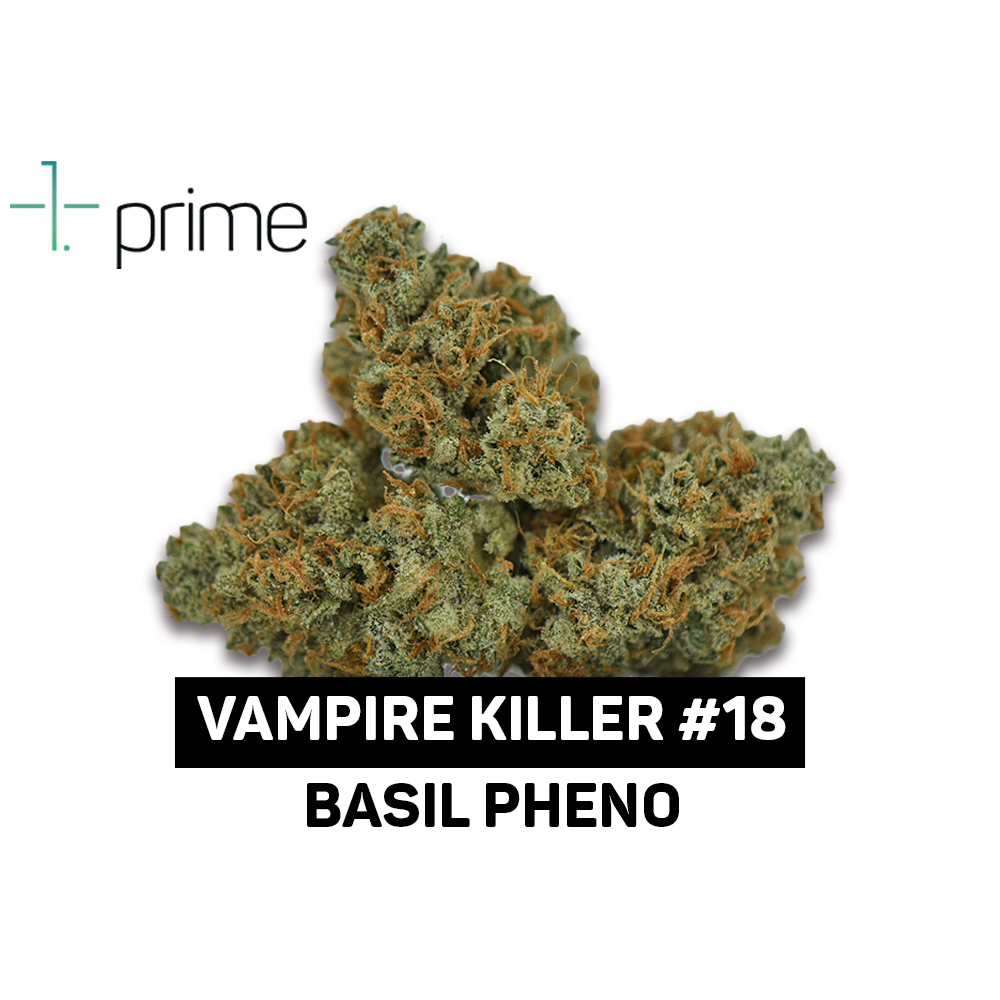 Vampire Killer #18 by Prime Wellness