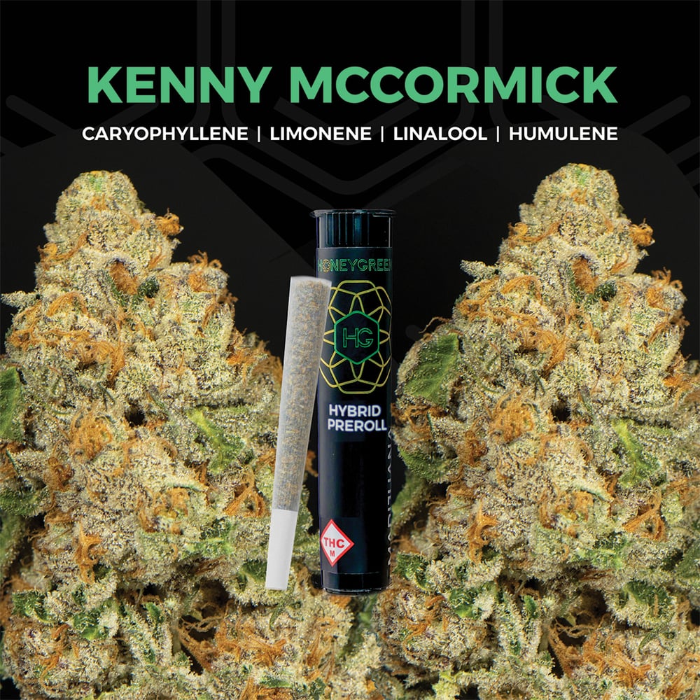 Kenny McCormick [1g] by Honey Green
