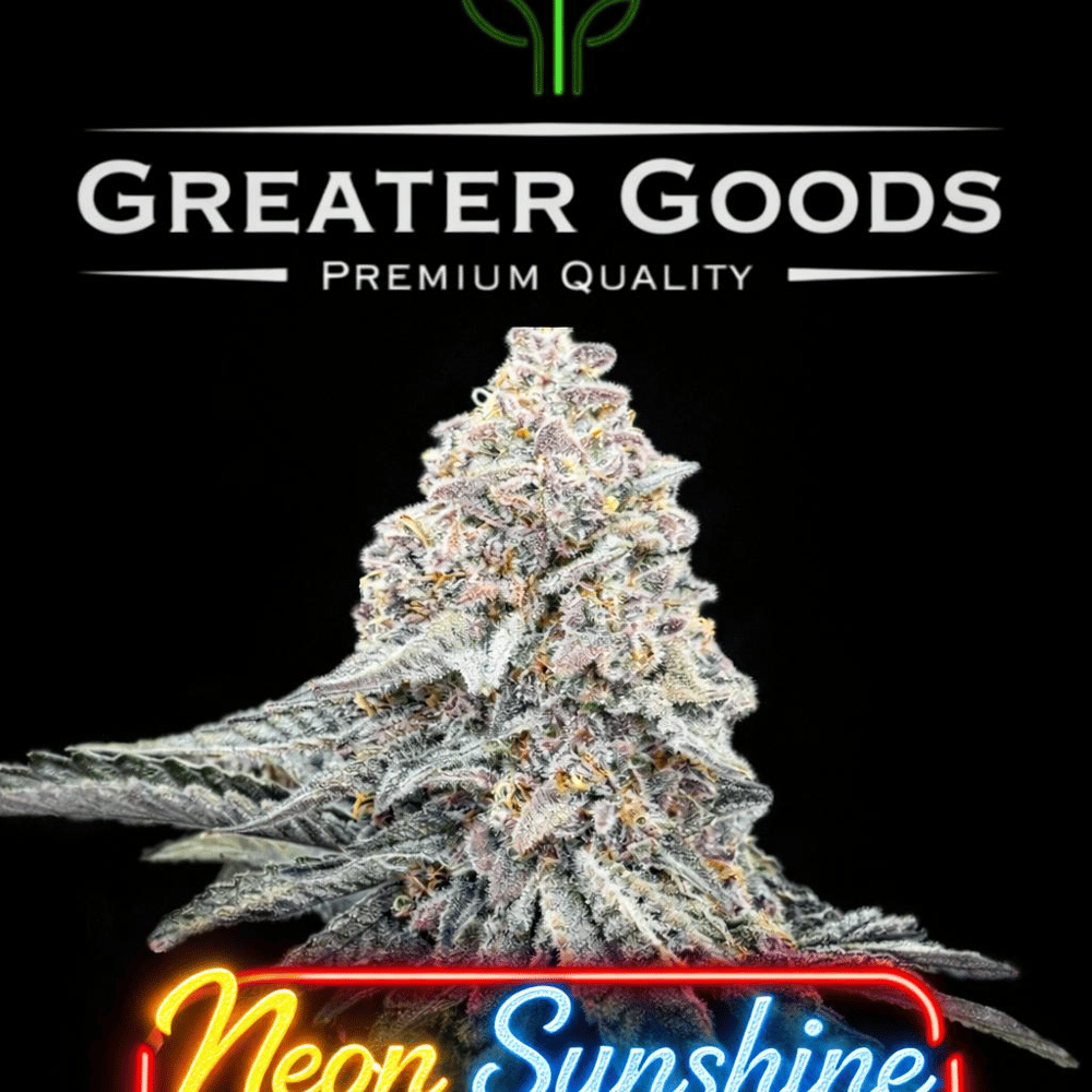Neon Sunshine by Greater Goods