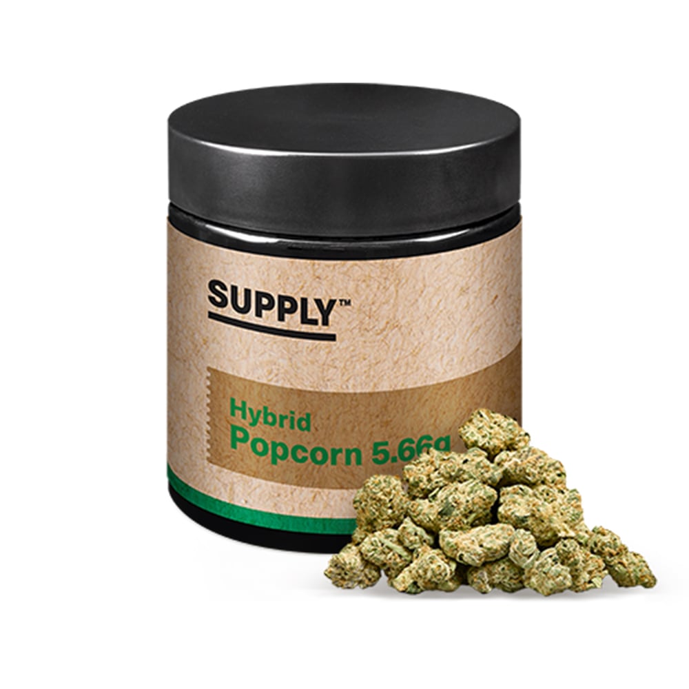 Alien Lime Pie [5.66g] by Supply™