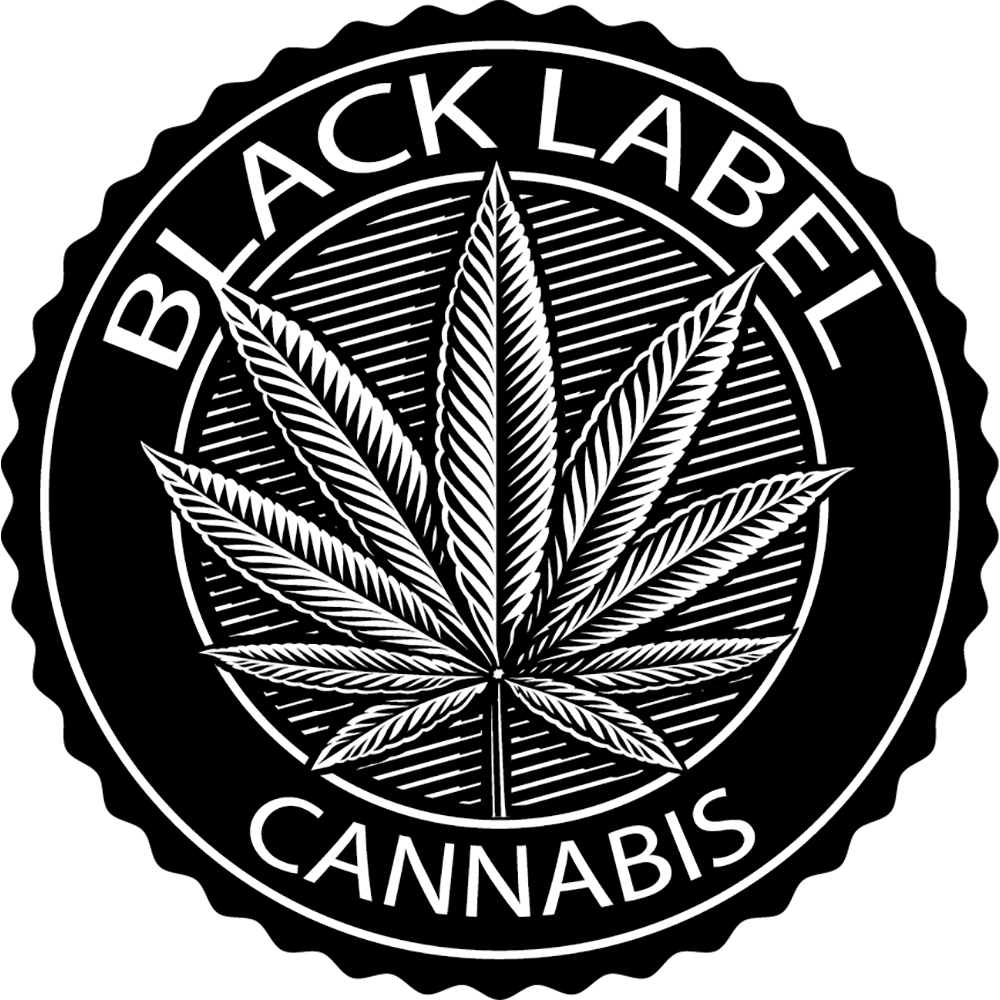 805 Glue [1g] by Black Label