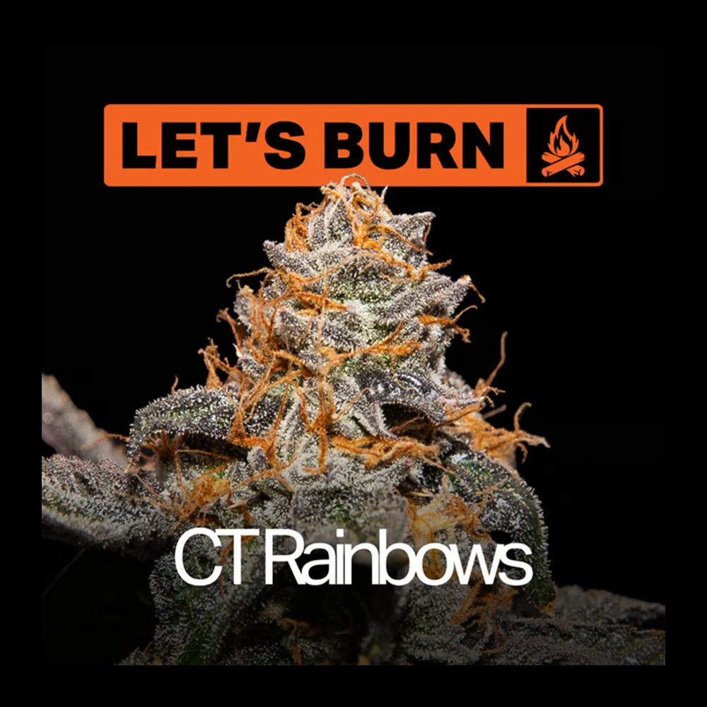 Let's Burn Cadillac Rainbows 3.5g 0075 by Let's Burn