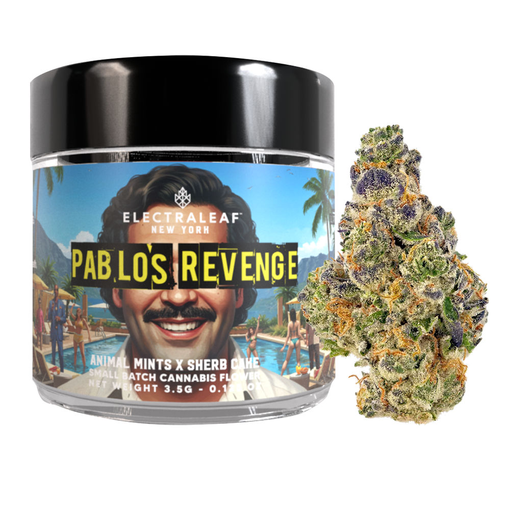 Pablo's Revenge by Electraleaf