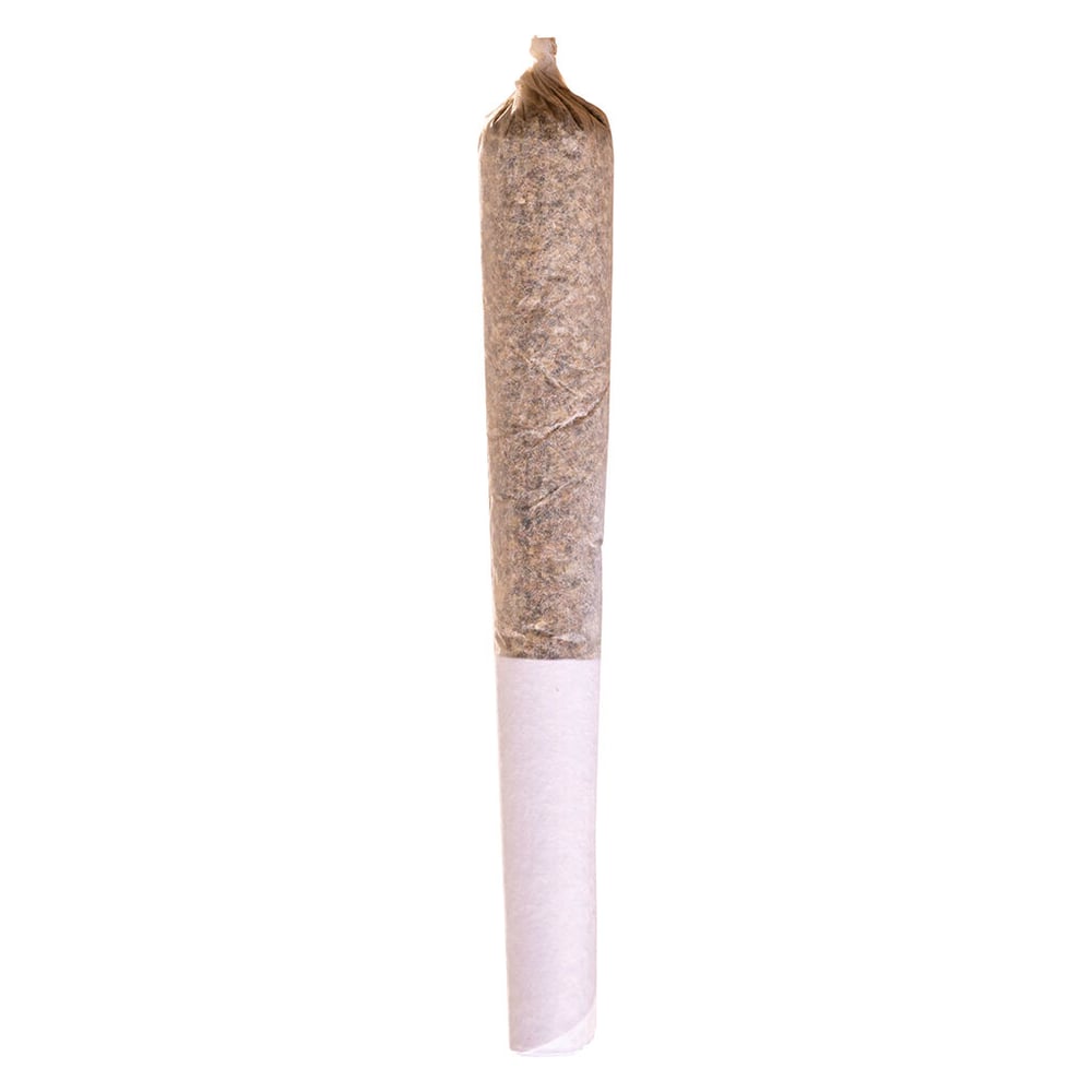 Apple Fritter [.5g] by Potluck