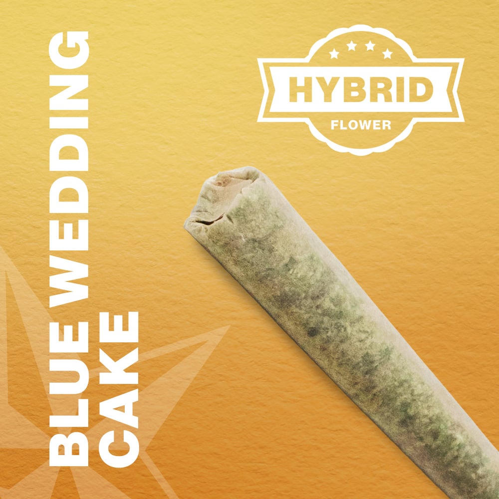 Blue Wedding Cake [1g] by Green Meadows