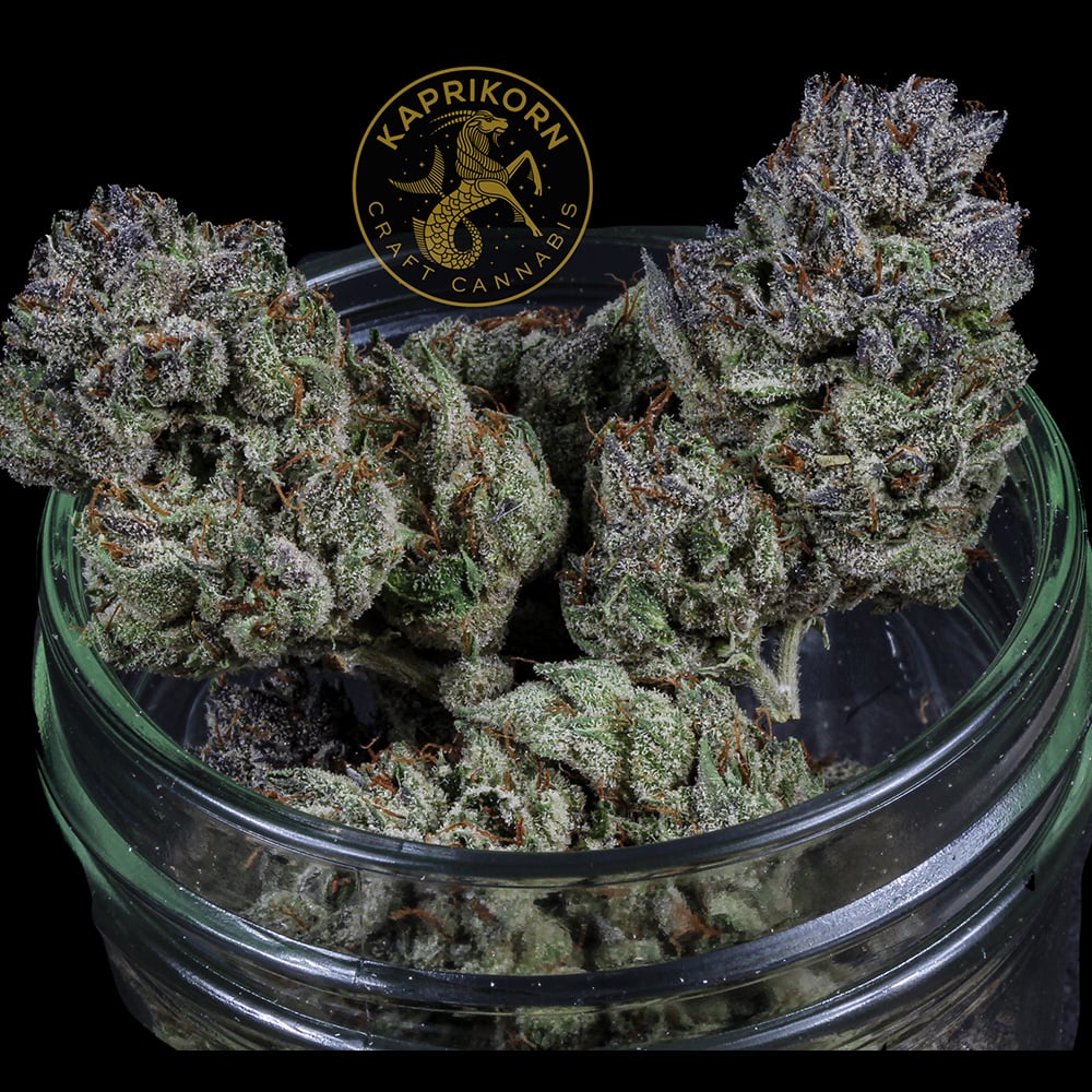 818 Headband by Kaprikorn