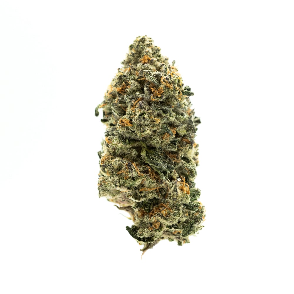 AGL 3.5g Pod E Mouth (H) 00549 by Advanced Grow Labs (AGL)