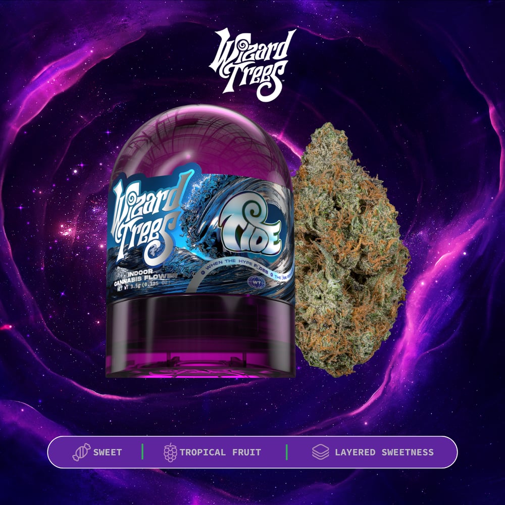 Tide by Wizard Trees