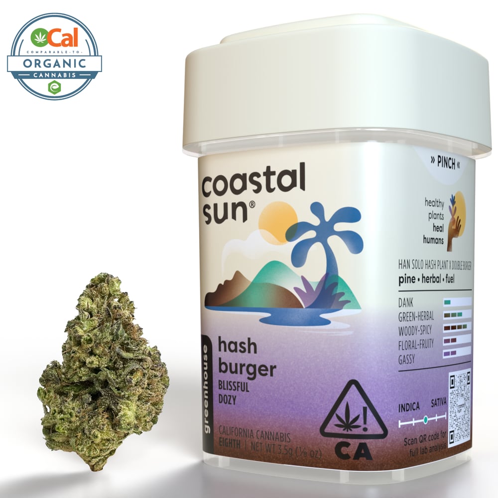 Hash Burger by Coastal Sun