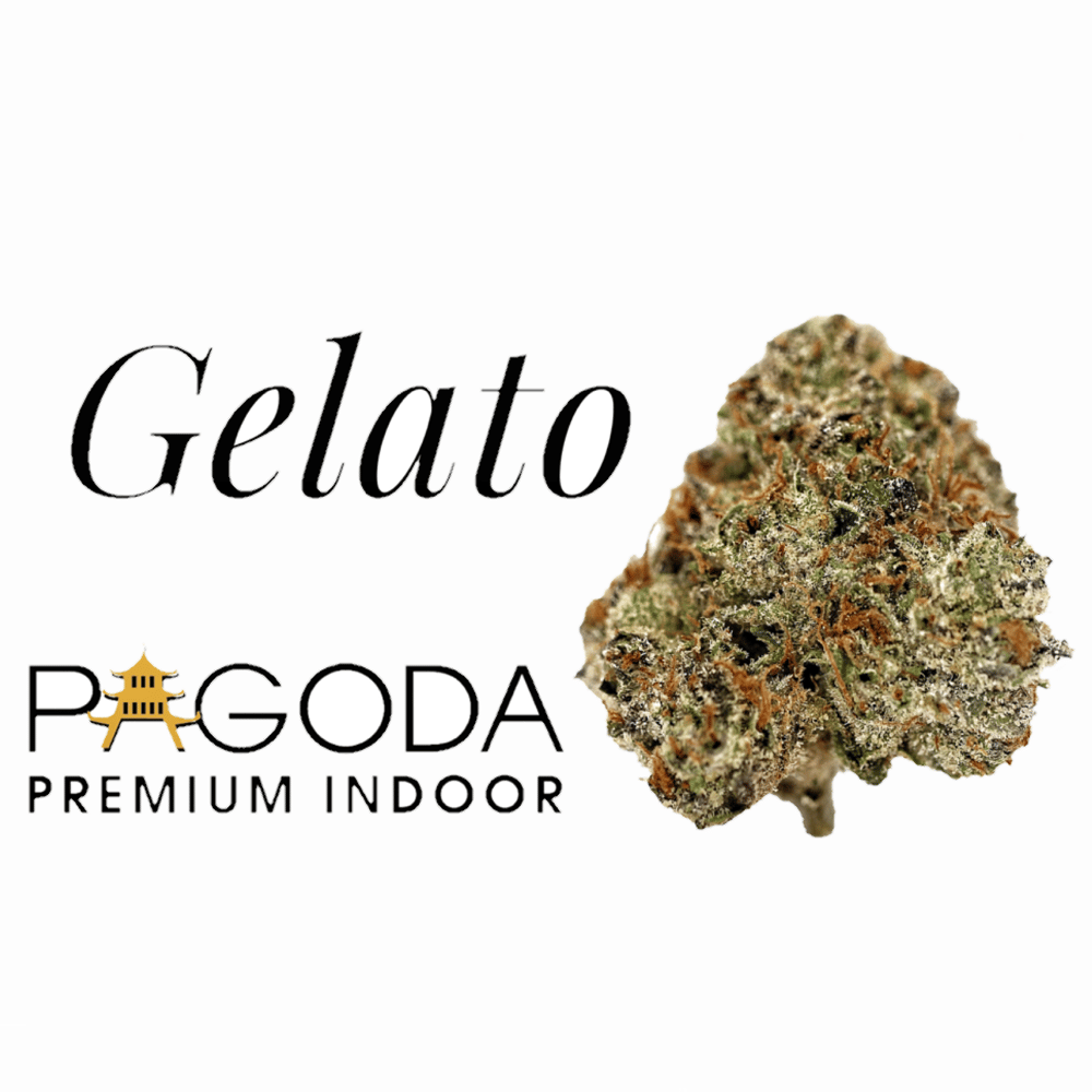 Gelato by Pagoda