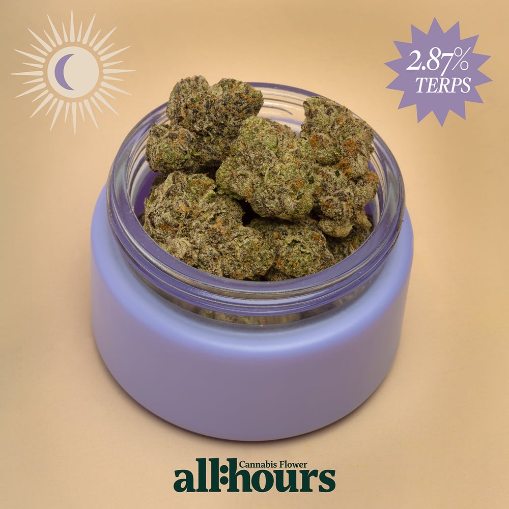 all:hours Air HDZ 4523 by all:hours