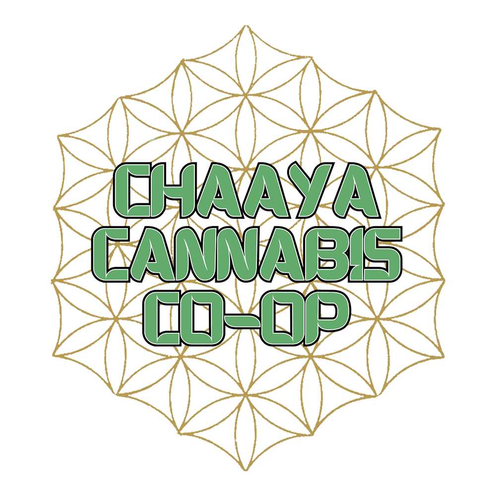 Cream Cookiez [1g] by Chaaya