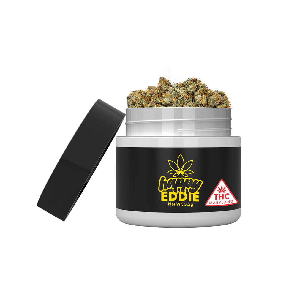 Happy Eddie | Nutty Professor by Happy Eddie