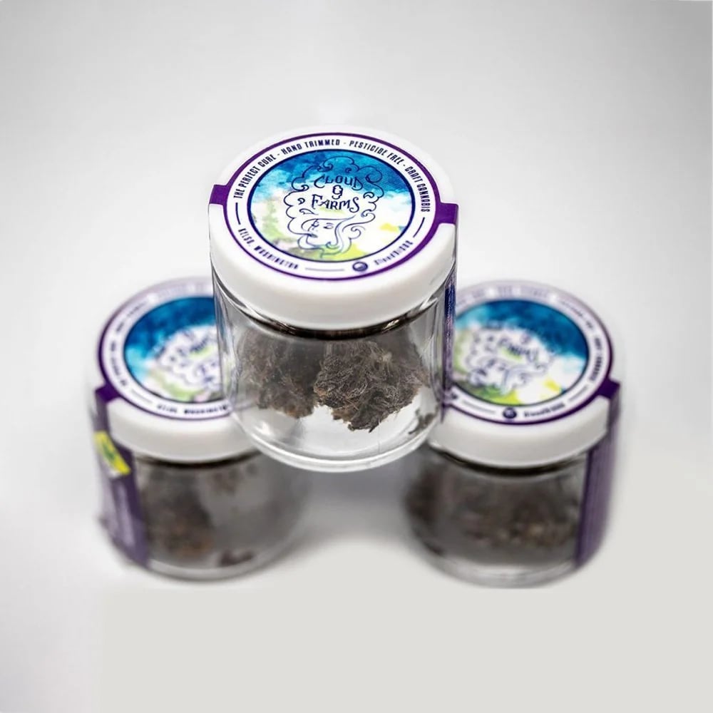 3 Papaya by Cloud 9 Farms