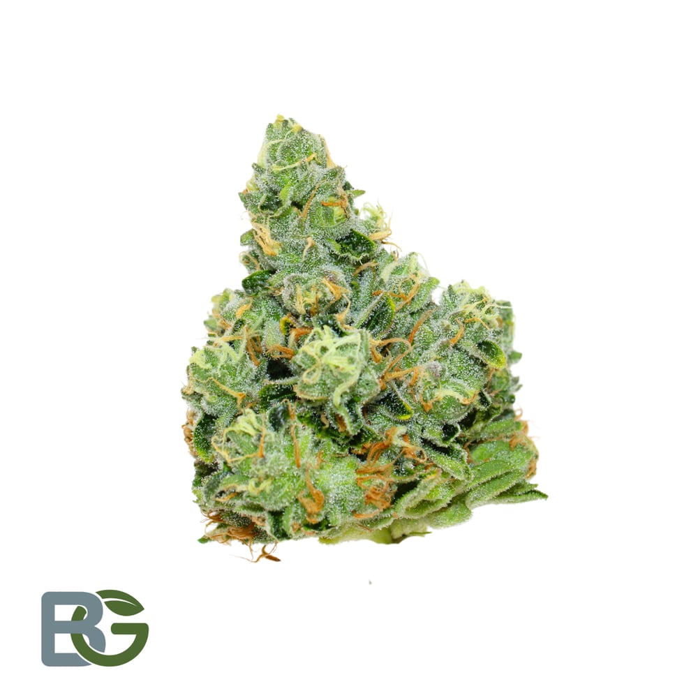 Michelin Star by Bedford Grow