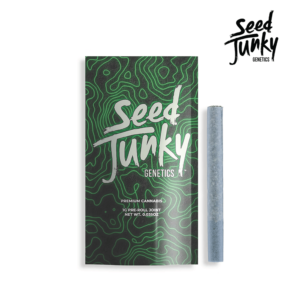 Biscotti x Sherb [1g] by Seed Junky Genetics