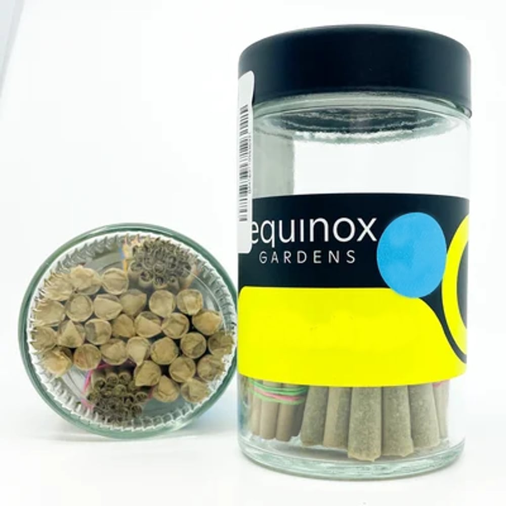 2090 [.5g] by Equinox Gardens