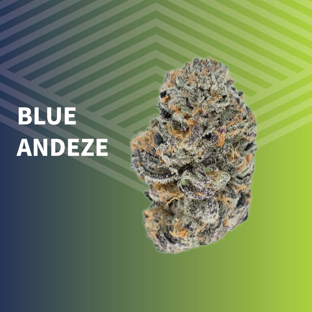Value Blue Andeze by Pure Dakota
