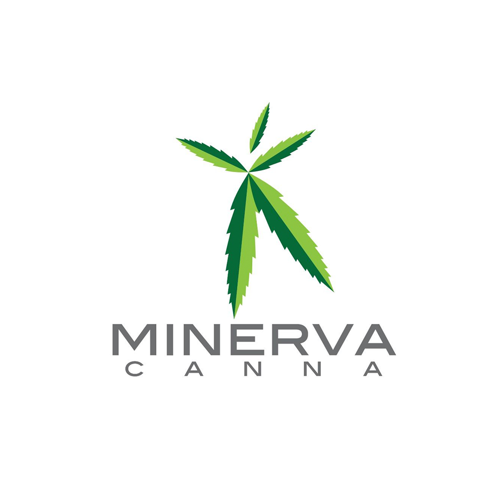 Candy Suckers by Minerva Canna