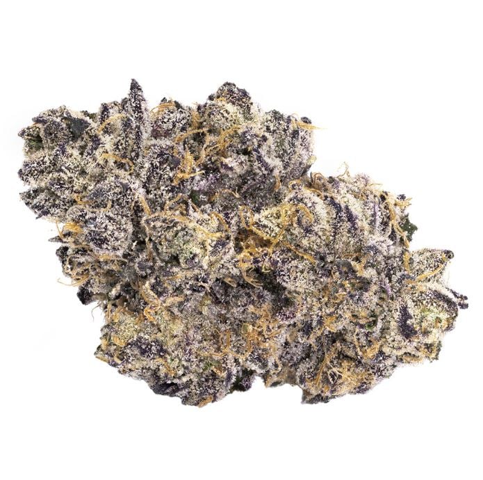 Bacio Gelato by BLKMKT