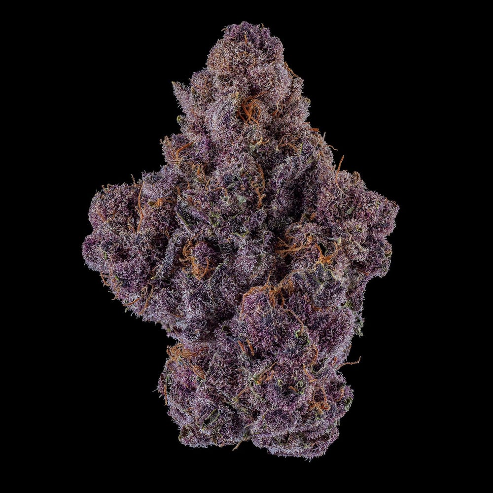 Queen of the South #11 by Noble Valley