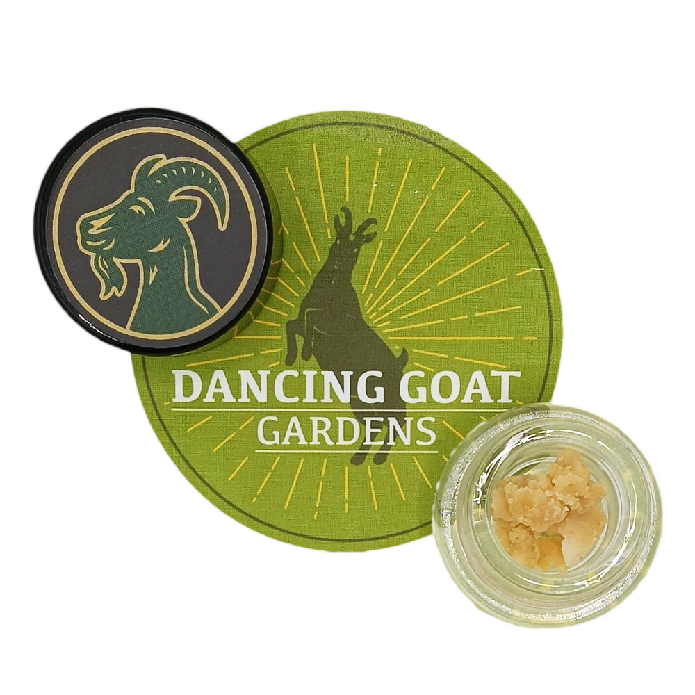 Berry Nasty by Dancing Goat Gardens