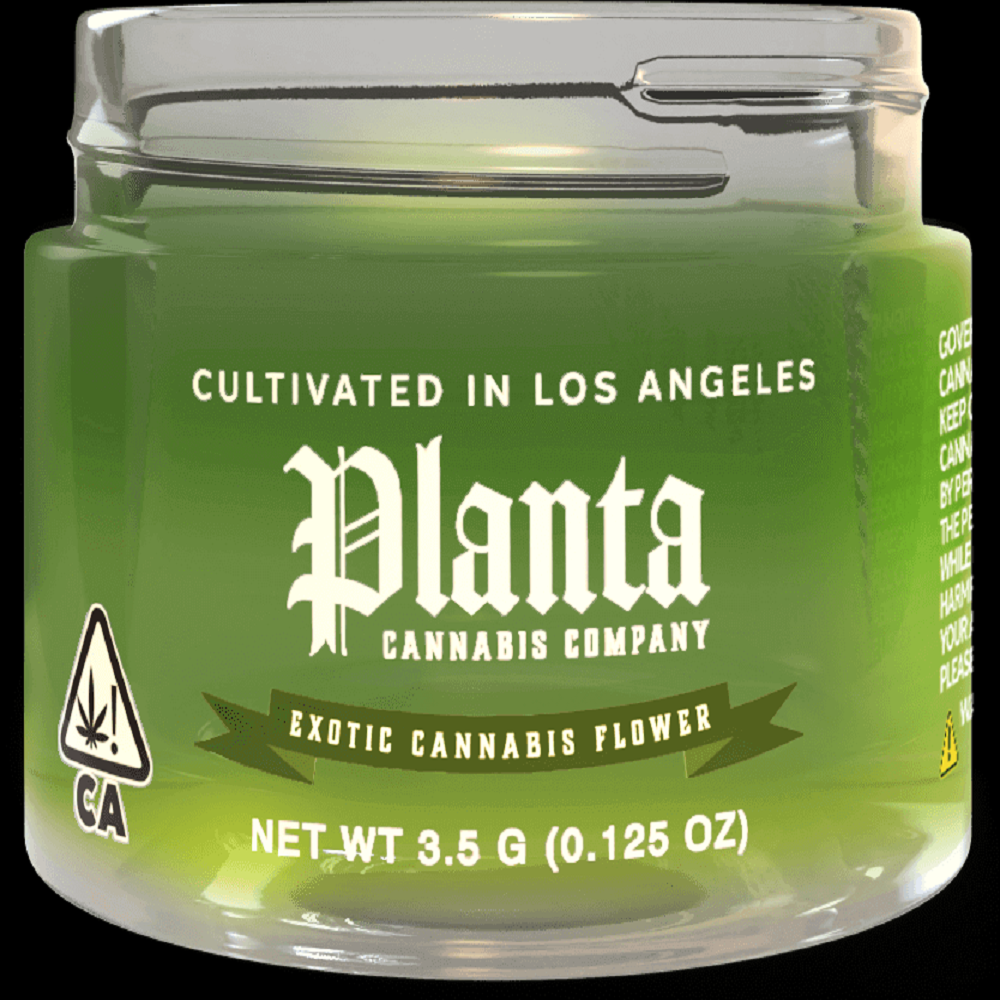 C.C. by Planta