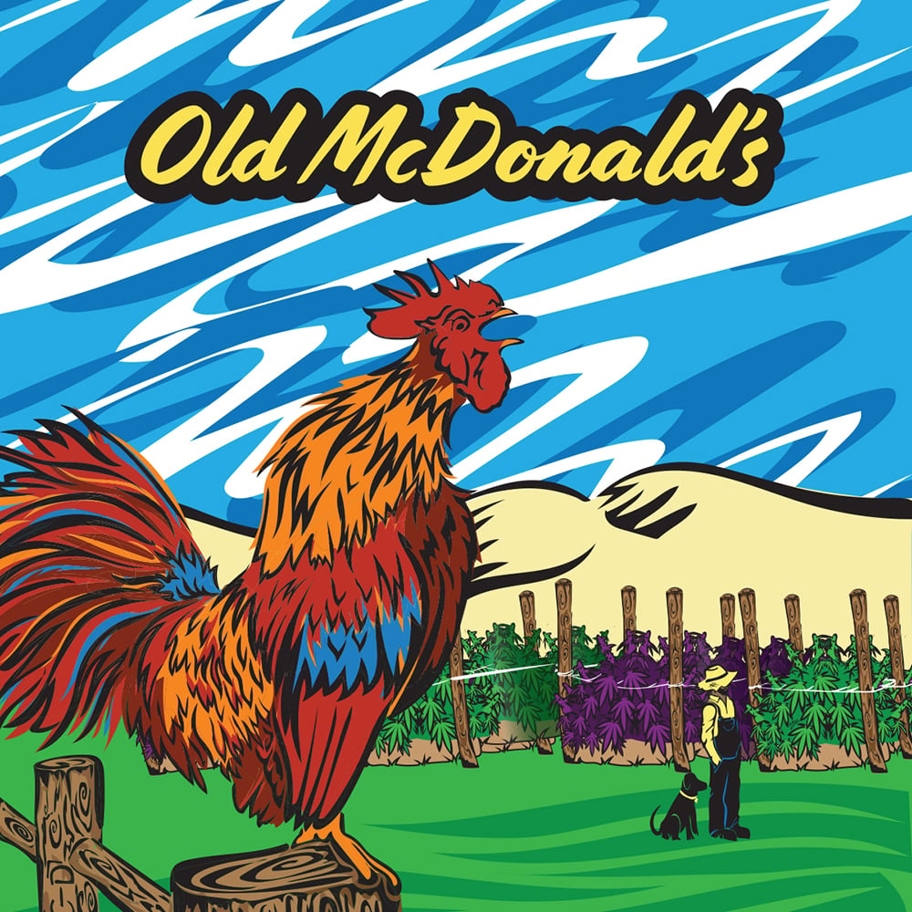 Apple Fritter by Old McDonald Farms