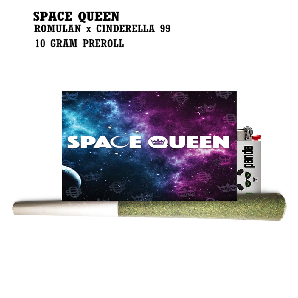 Space Queen [10g] by Phat Panda