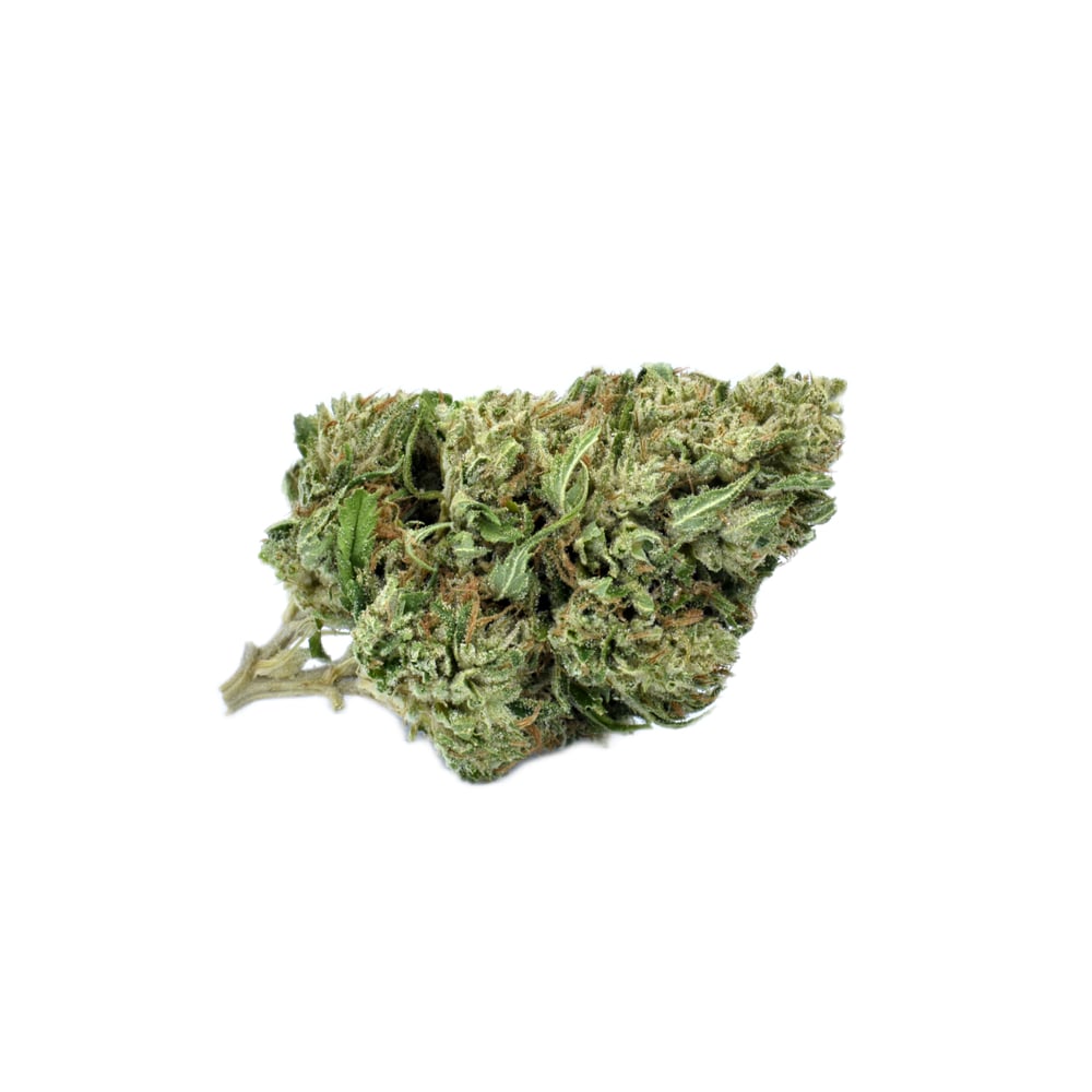 Natty Bumppo by Solful Handpicked