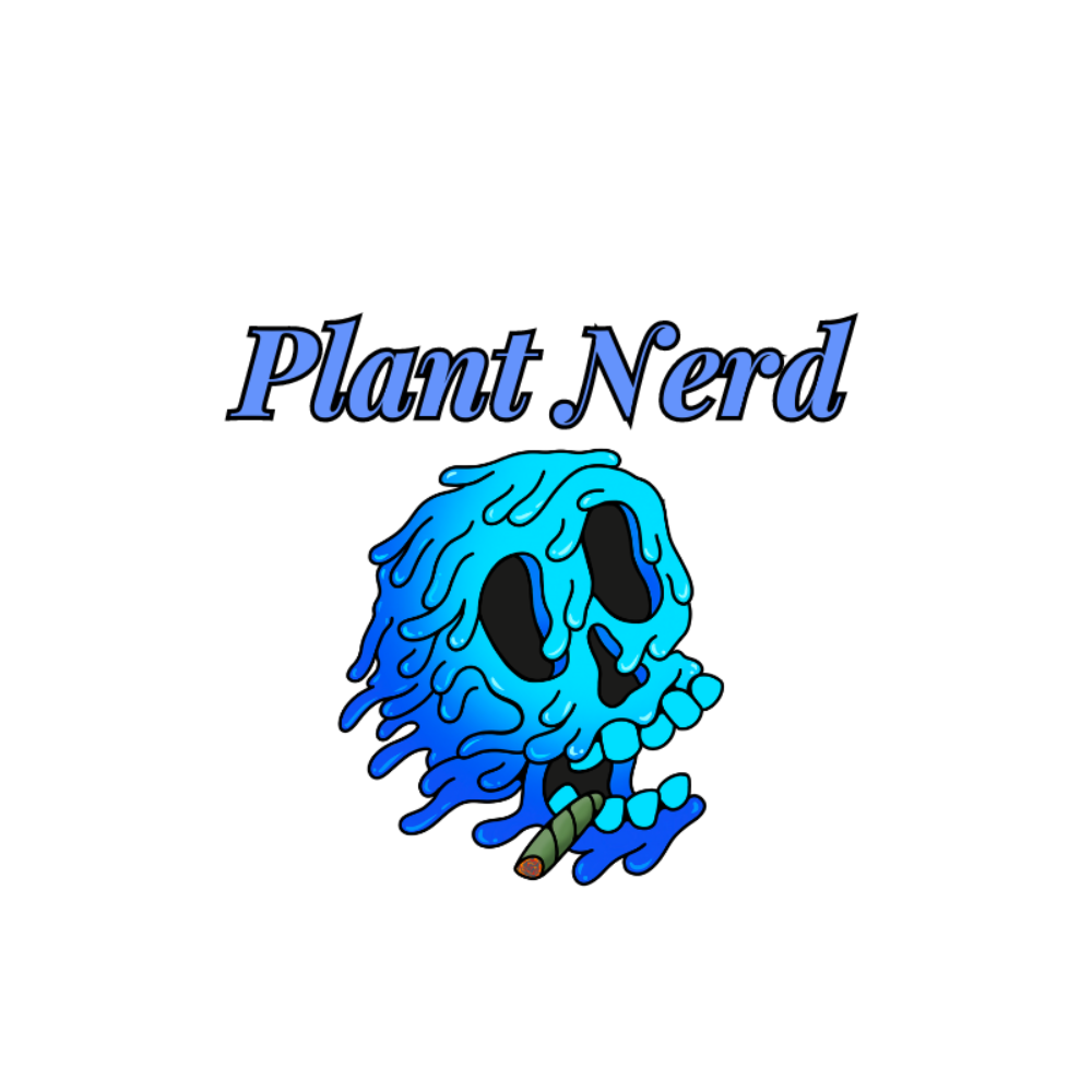 Maple Nectar by Plant Nerd