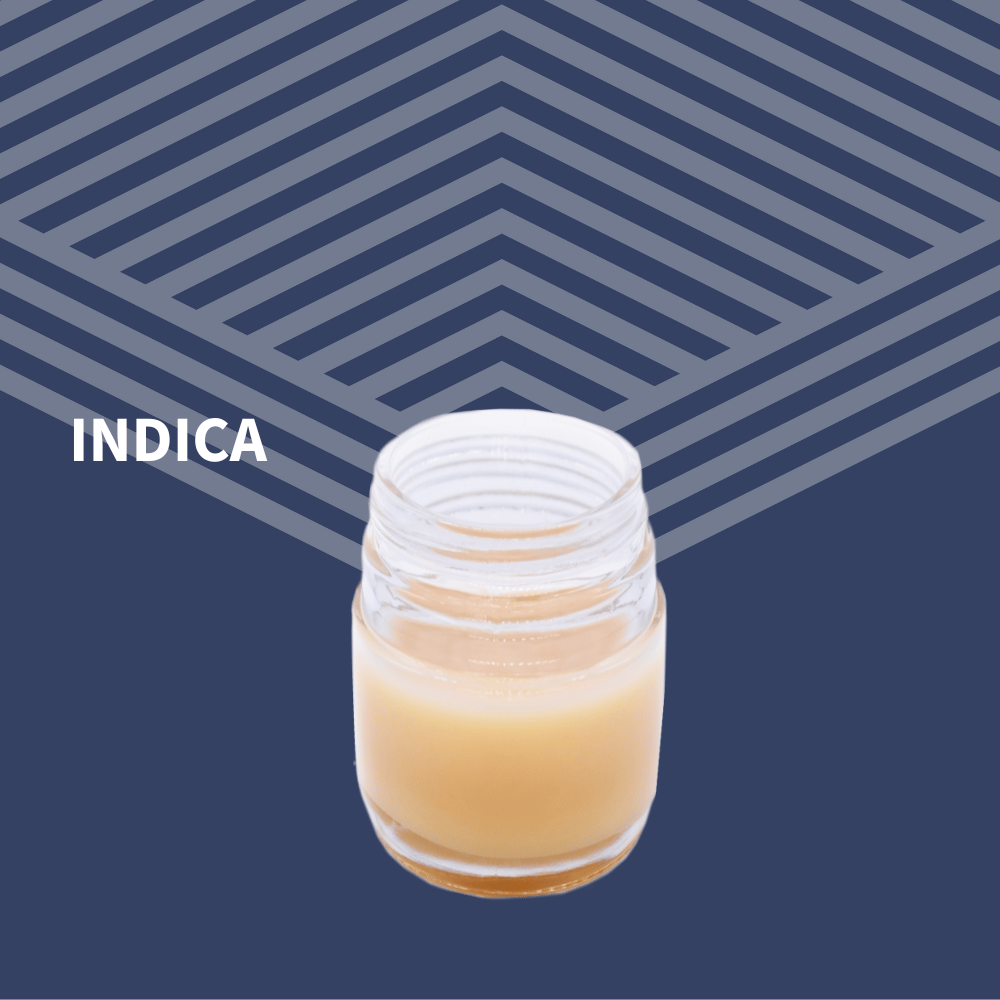 1:1 Lotion - Blue Hashplant [50g] by Pure Dakota