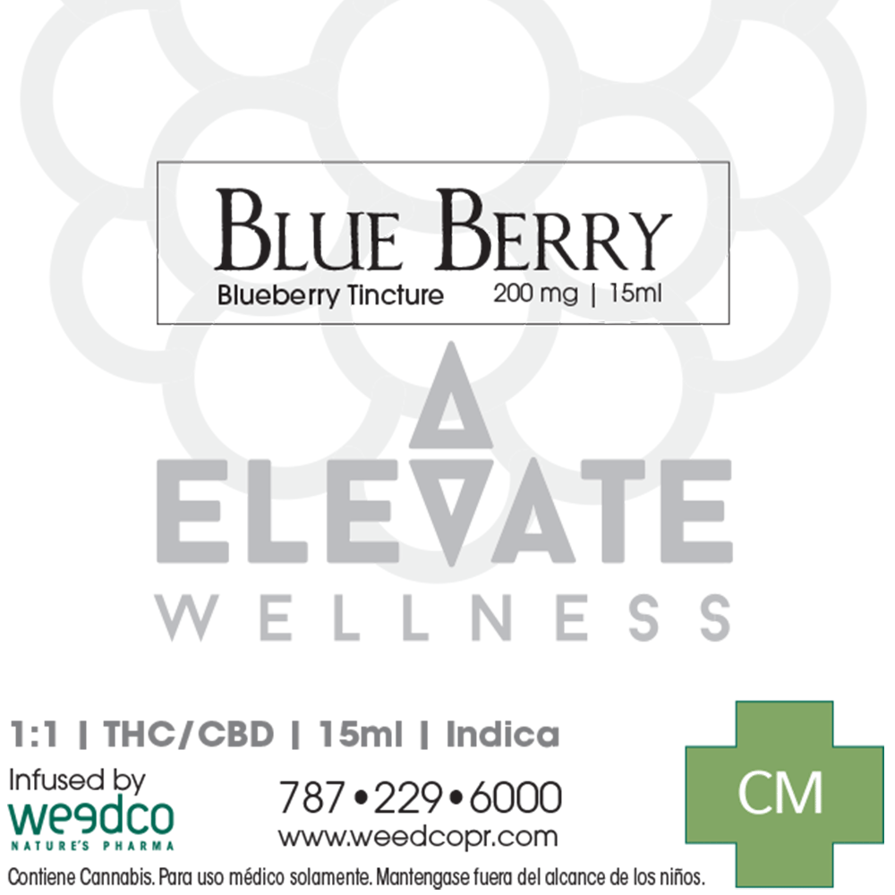 1:1 Elevate Blueberry [15ml] (200mg) by OMG! - PR