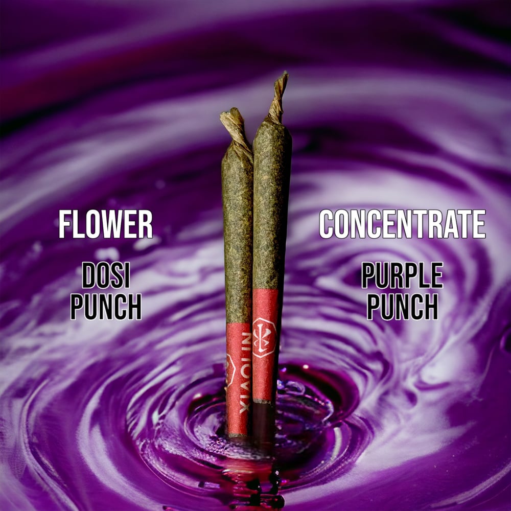 Dosi Punch // Purple Punch [0.5g each] by Made in Xiaolin