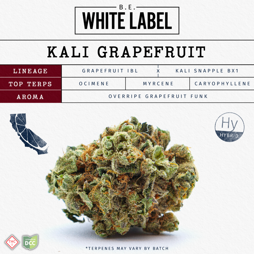 Kali Grapefruit [2.83g] by Butterfly Effect