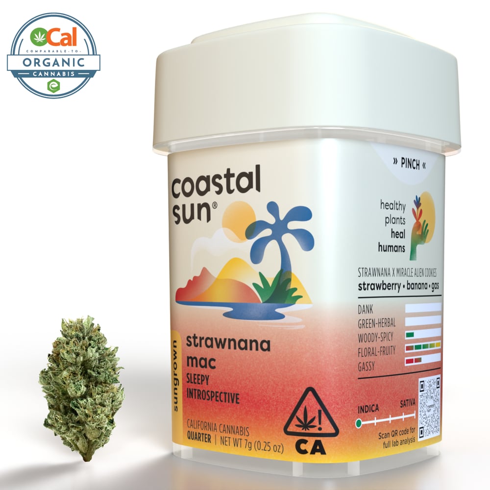 Strawnana Mac by Coastal Sun