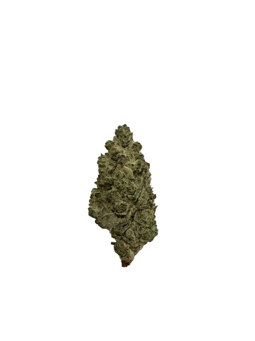 Quantum Kiwi by Jbuds